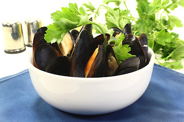 Image showing Mussels