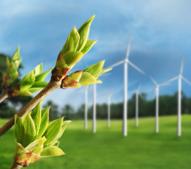 Image showing Wind Turbines