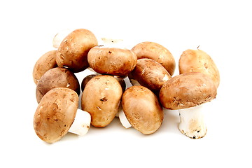 Image showing Brown mushrooms.