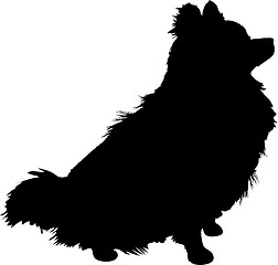 Image showing Pomeranian Silhouette