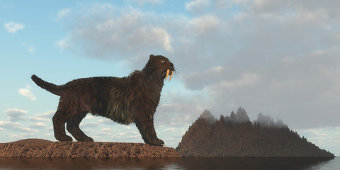 Image showing Saber-Tooth Cat