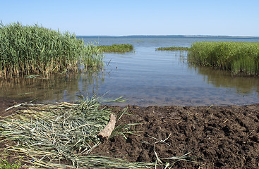 Image showing Shore of lake Pleshcheyevo in summer time