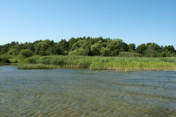 Image showing Shore of lake Pleshcheyevo, summer time