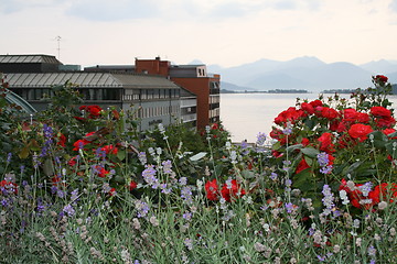 Image showing Molde, the town of jazz and roses