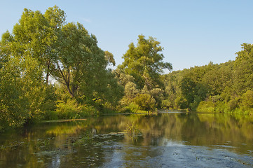 Image showing Lazy river flowing through the forest