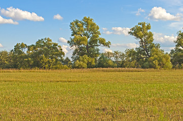 Image showing Sloping field in autumn