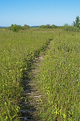 Image showing Causeway across the marsh