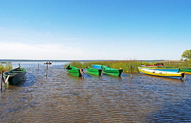 Image showing Anchored wooden boats in small bay
