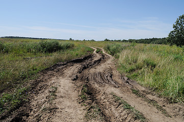 Image showing Dirt road in the meadow