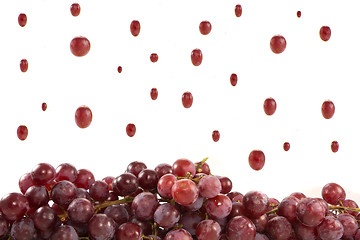 Image showing Raining grapes