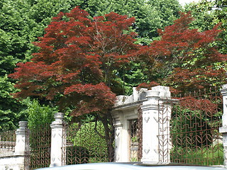 Image showing Romantic ticino park