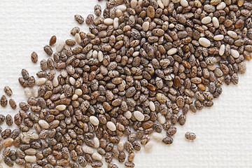 Image showing chia seeds on white canvas