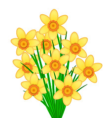 Image showing Yellow Daffodil Flowers Bunch