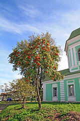 Image showing red rowanberry near town construction