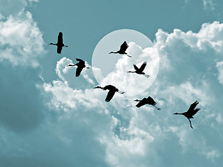 Image showing silhouette flying cranes on cloudy background