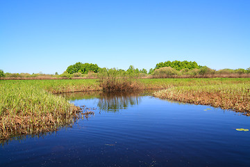 Image showing small river on spring field