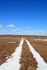 Image showing snow road on yellow herb