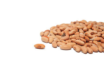 Image showing bean on white background