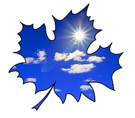 Image showing silhouette of the maple leaf on white background 