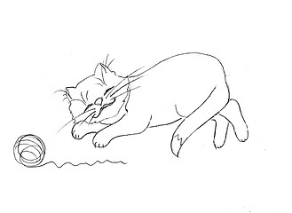 Image showing drawing of the cat on white background