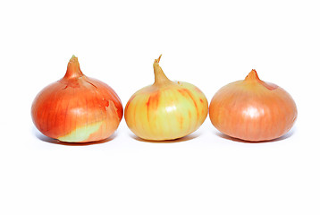 Image showing onion on white background