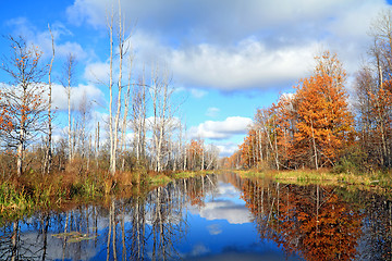 Image showing autumn wood on coast river