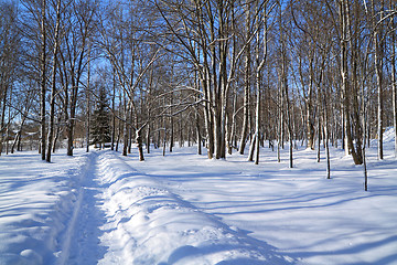 Image showing snow lane in winter park 