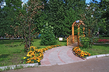 Image showing summer flowerses in town park