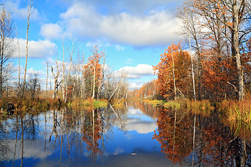 Image showing autumn wood on coast river