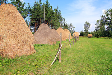 Image showing stack hay on green field