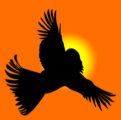 Image showing silhouette of the bird against sun 