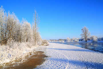 Image showing snow bushes on coast river