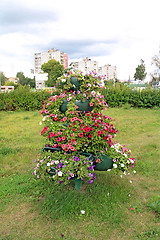 Image showing flowerses on decorative town lawn