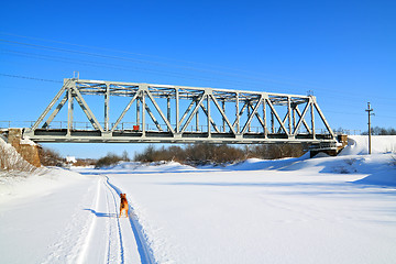 Image showing redhead dog on river ice near railway bridge