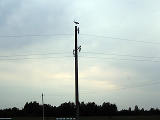 Image showing crane on pole  