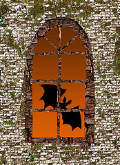 Image showing bat against window 