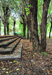 Image showing aging stairway in autumn park