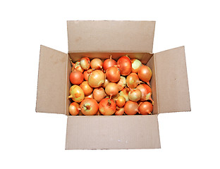 Image showing onion in carton on white background