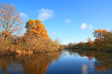 Image showing autumn wood on coast river