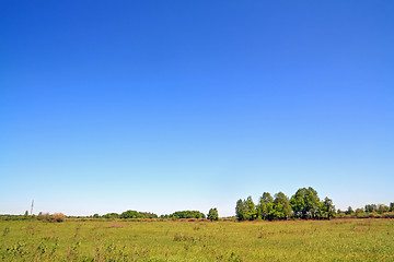 Image showing birch copse on autumn field
