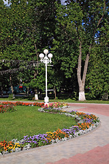 Image showing flowerses in summer town park