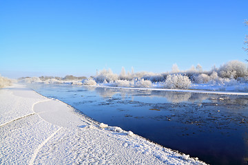 Image showing snow bushes on coast river 