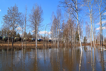 Image showing birch wood in spring water