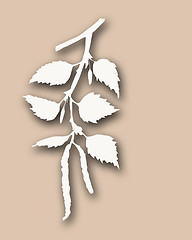 Image showing branch of the birch on gray background