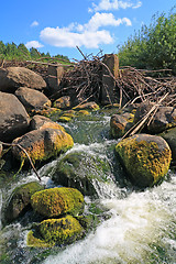 Image showing quick flow amongst stone