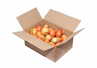 Image showing onion in carton on white background