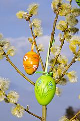 Image showing easter spring background eggs hang pussy-willow 