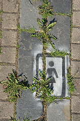 Image showing Pavement walkway fragment with weed between bricks 