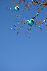 Image showing New year toy hanging on a tree branches. 