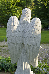 Image showing Angel sculpture from behind.  